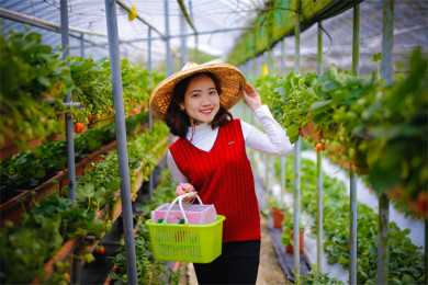 试管婴儿备孕期间饮食该从哪些入手？